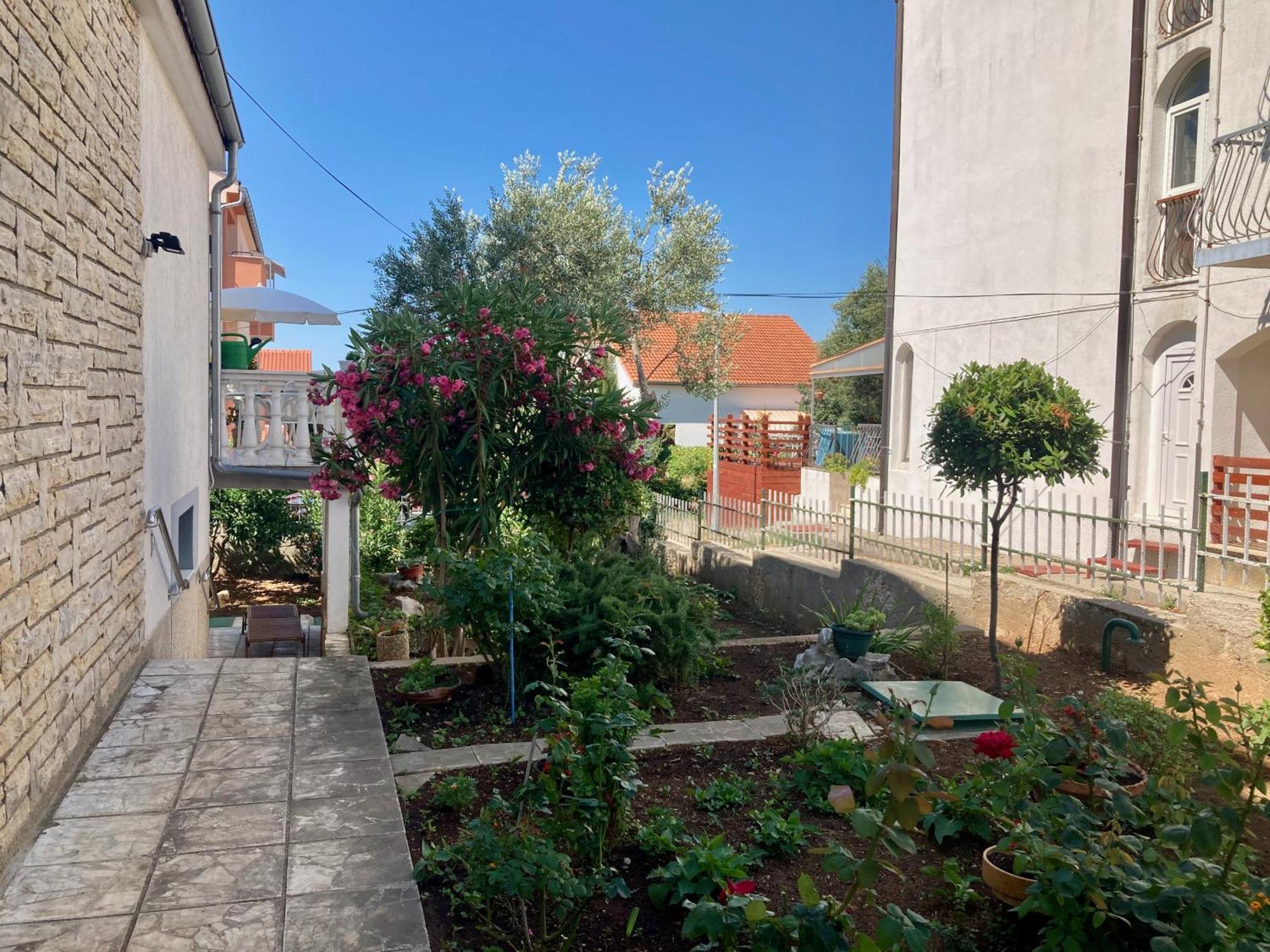 Apartments Villa Agatha Sveti Filip i Jakov Buitenkant foto